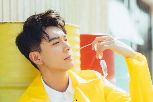 董祥爆料陈星旭视频播放,真相背后引人深思