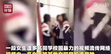 李四被女孩爆料视频大全,揭秘背后真相与争议